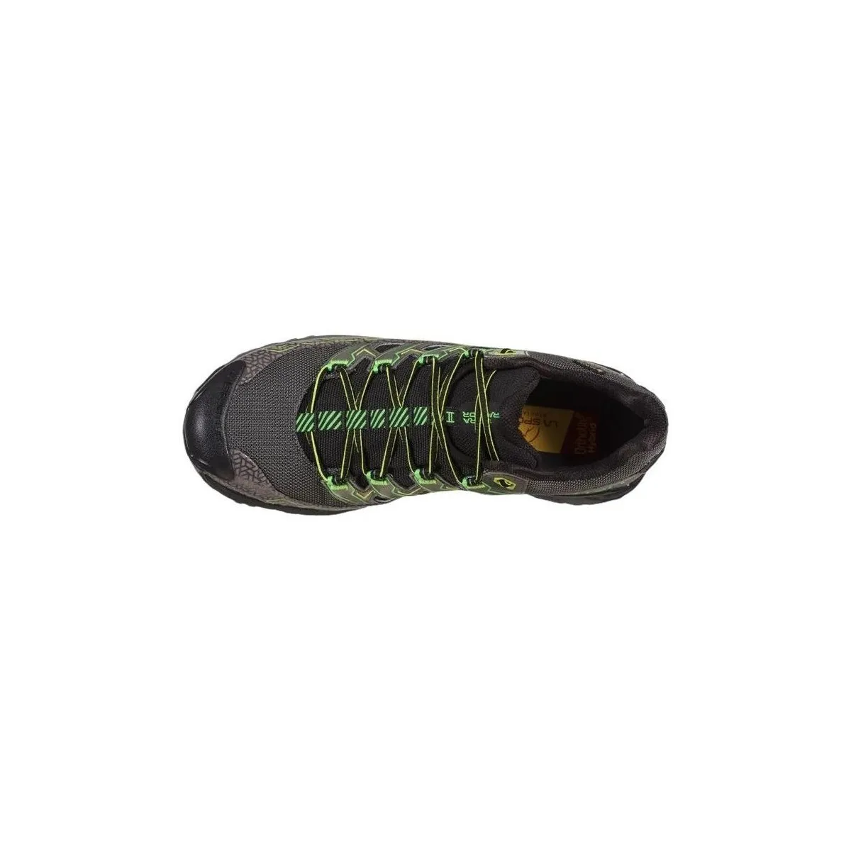 Zapatillas Ultra Raptor II GTX Hombre Metal/Flash Green